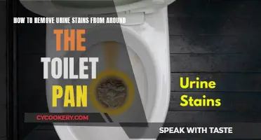 Toilet Pan Urine Stains: Effective Removal Techniques