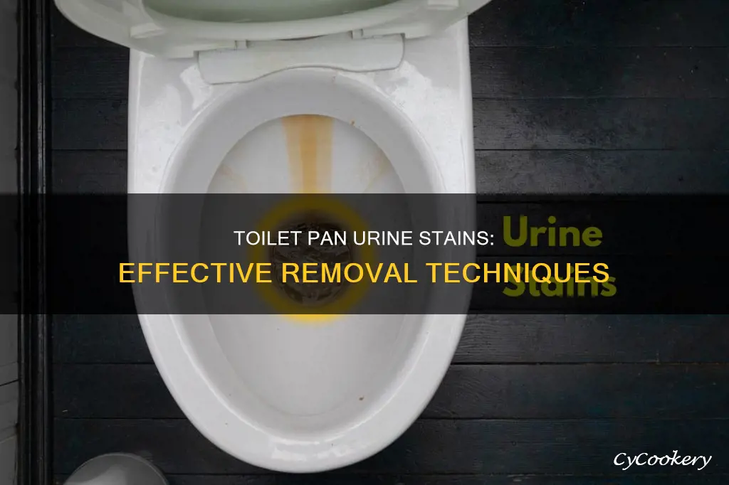 how to remove urine stains from around the toilet pan