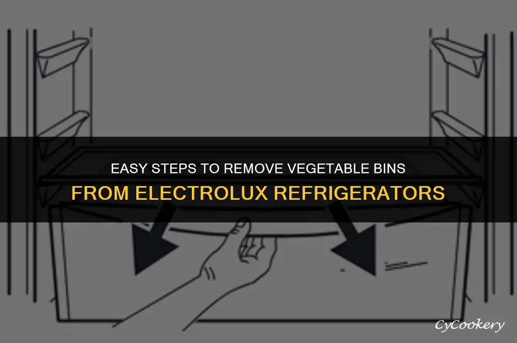 how to remove vegetable bins from an electrolux refrigerator