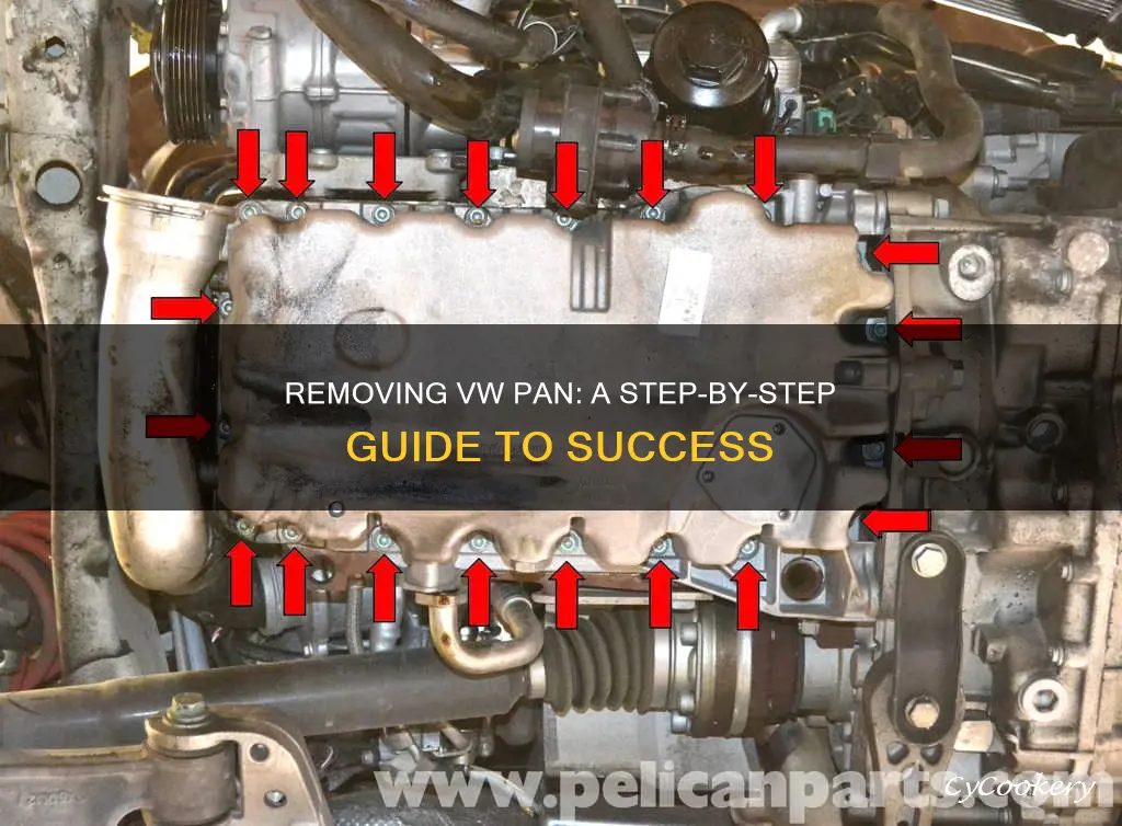 how to remove vw pan