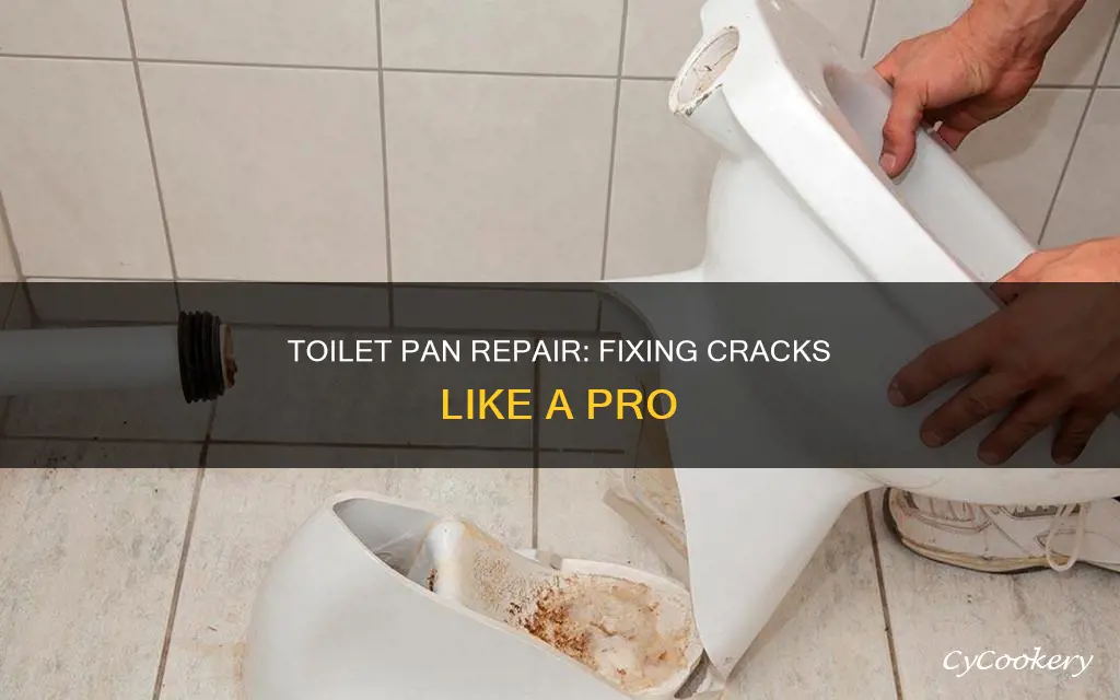 how to repair a cracked toilet pan