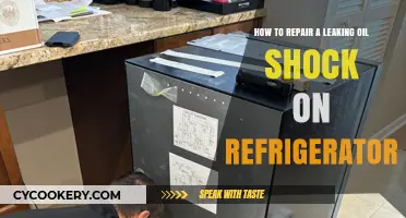 Fixing a Leaky Oil Shock on Your Refrigerator: A DIY Guide