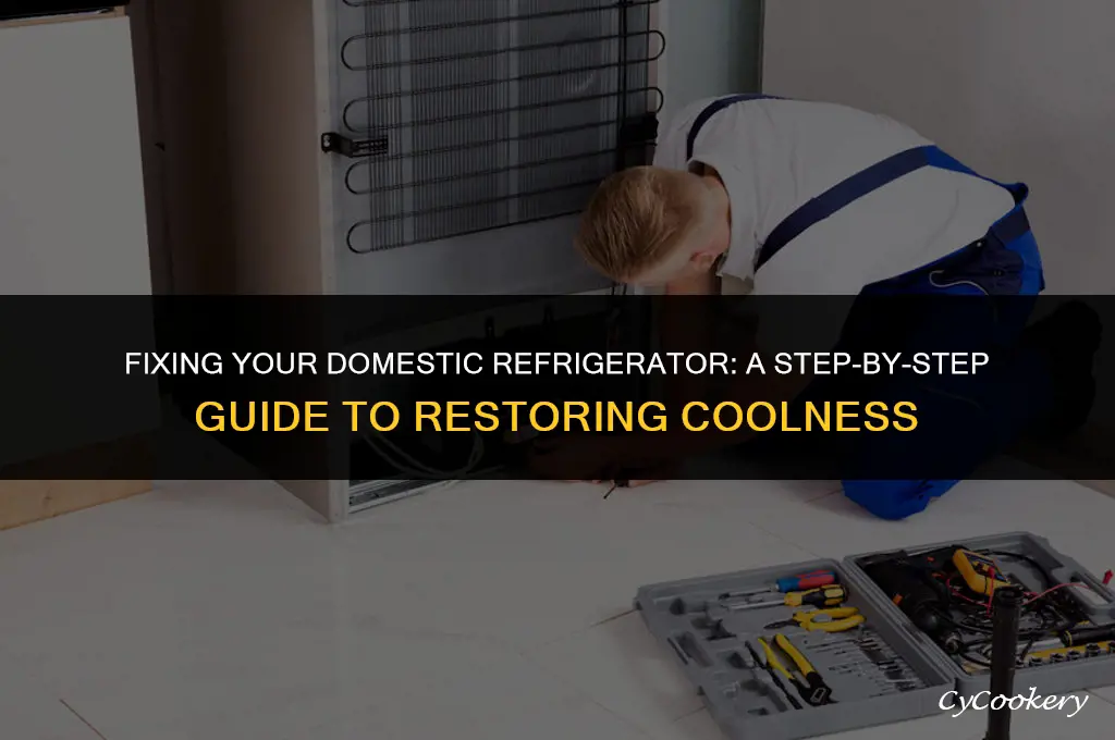 how to repair a refrigerator domertic when not cold