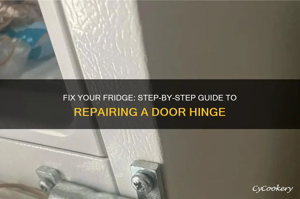 how to repair a refrigerator door hinge