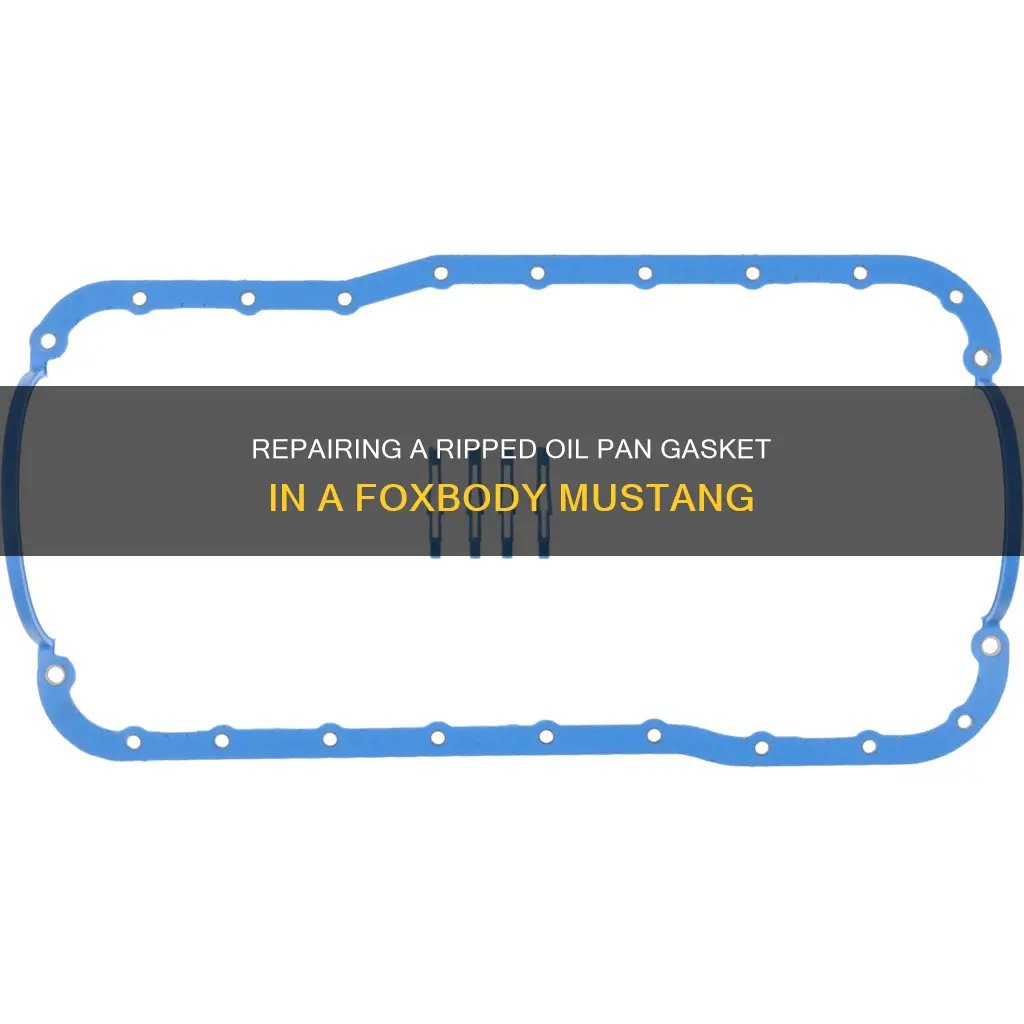 how to repair a ripped oil pan gasket foxbody mustang