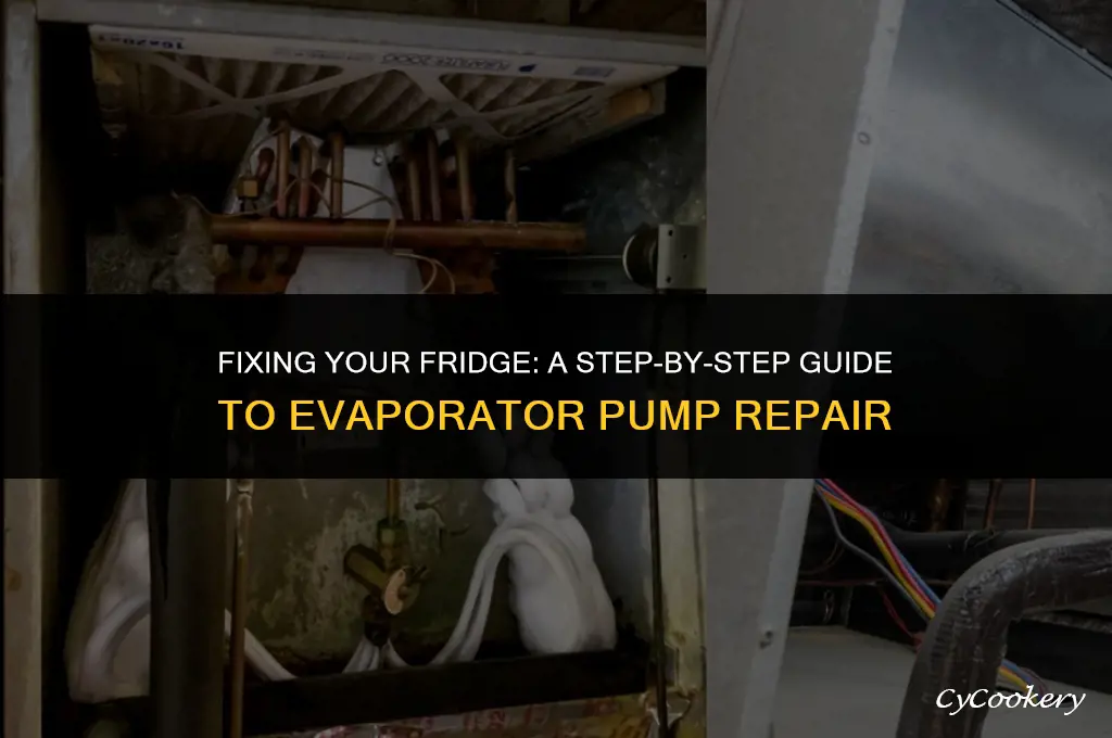 how to repair evaporator pump on a refrigerator