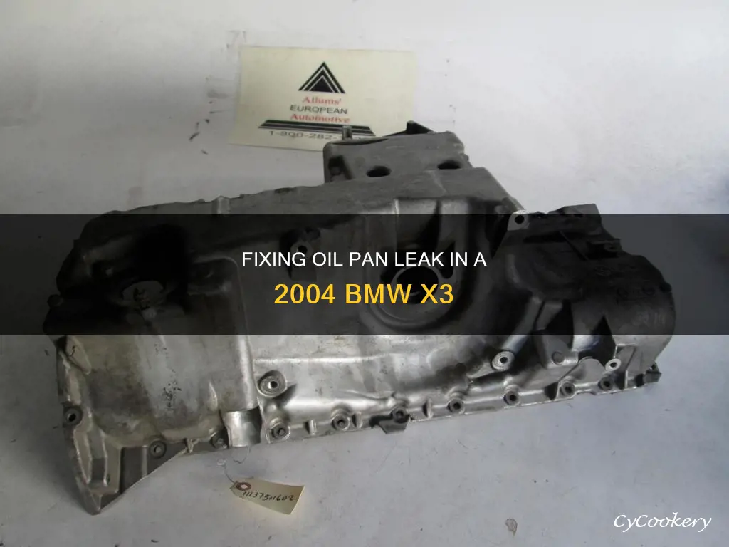 how to replace 2004 bmw x3 oil pan leak