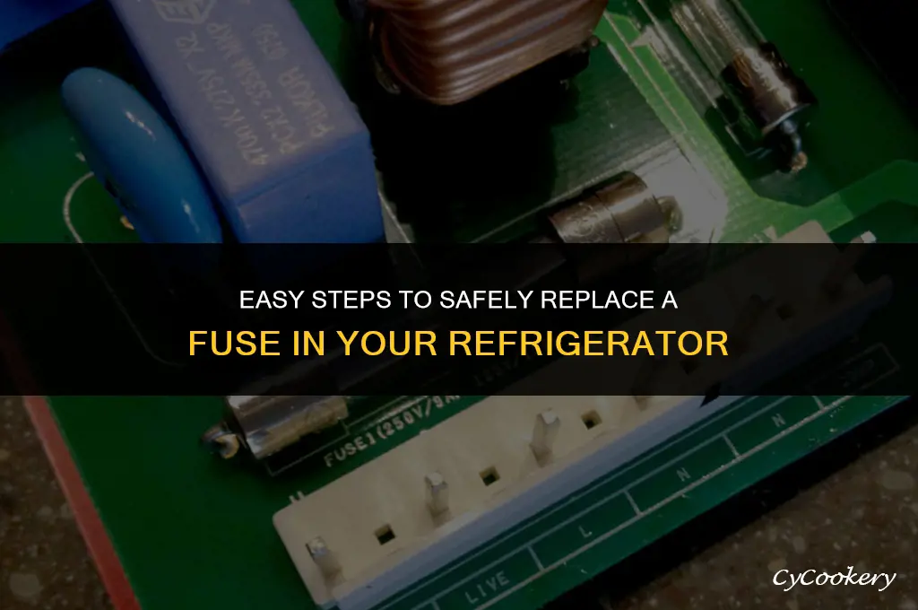 how to replace a fuse in a refrigerator