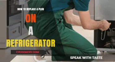 Easy Fix: Replacing a Plug on Your Refrigerator
