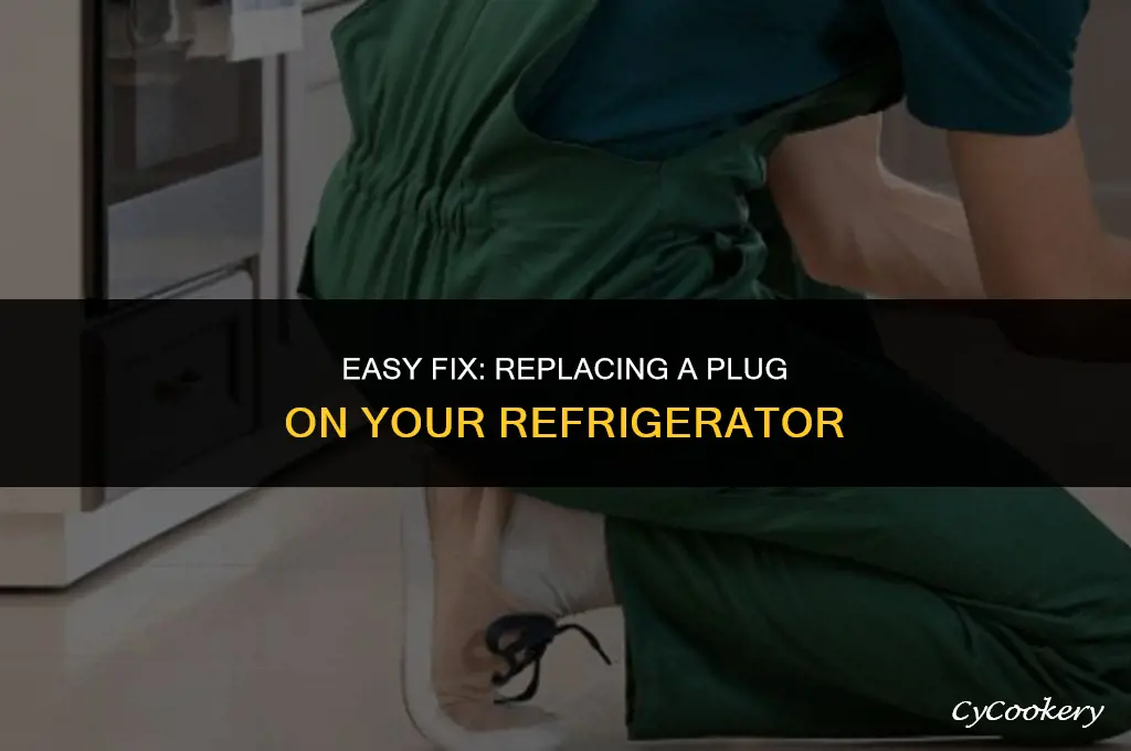 how to replace a plug on a refrigerator