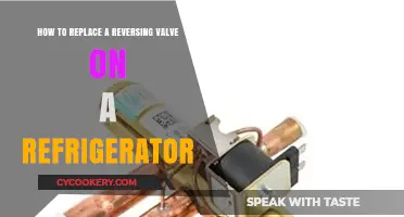 DIY Guide: Replacing Your Refrigerator's Reversing Valve
