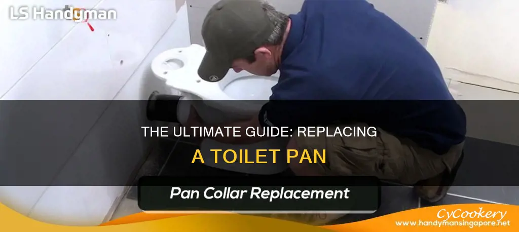 how to replace a toilet pan