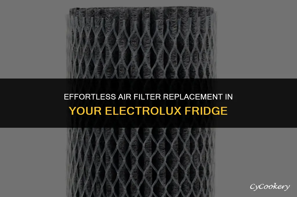 how to replace air filter in electrolux refrigerator