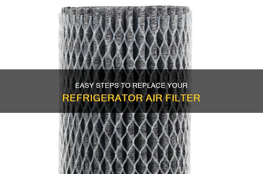 how to replace air filter in refrigerator