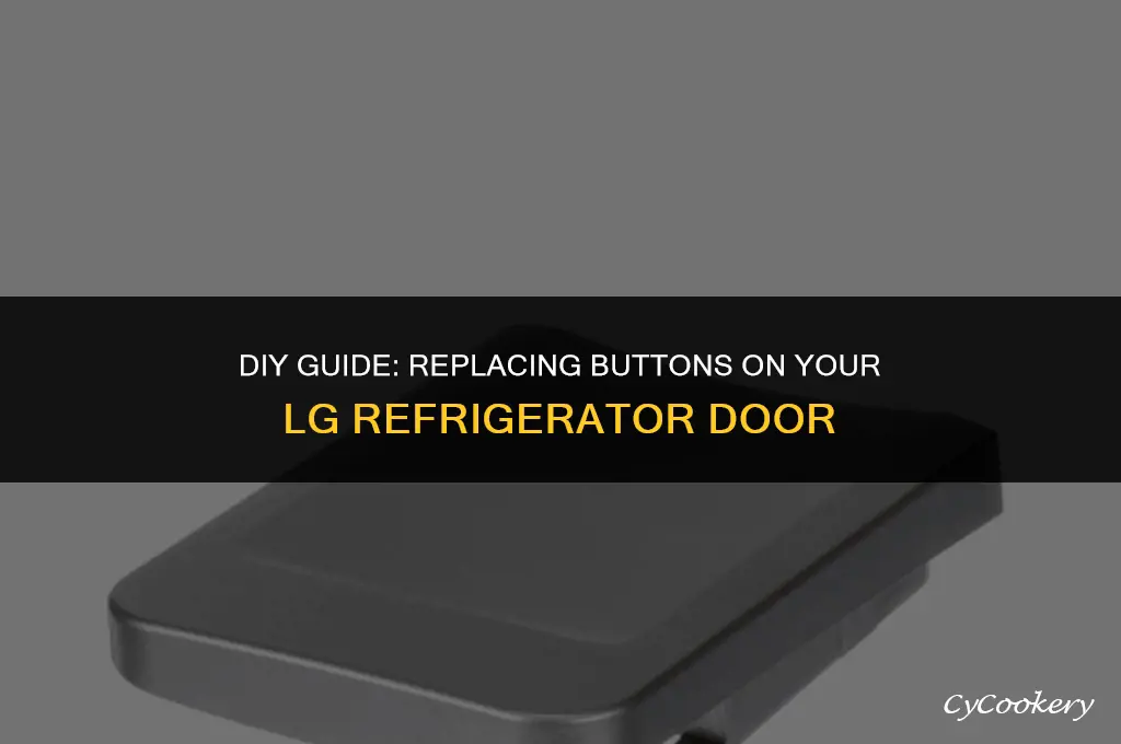 how to replace button on lg refrigerator door