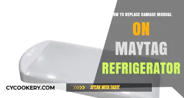 DIY Guide: Replacing a Damaged Module on Your Maytag Refrigerator