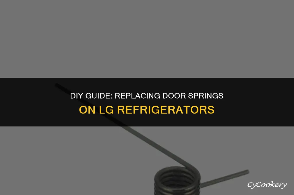 how to replace door spring on lg refrigerator