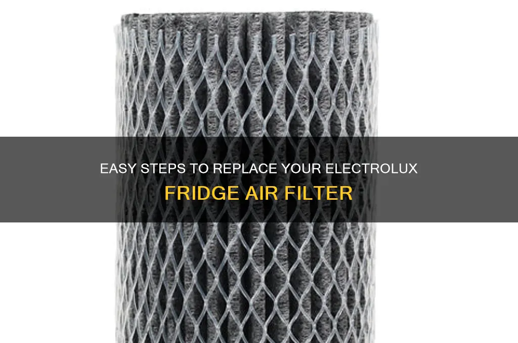 how to replace electrolux refrigerator air filter