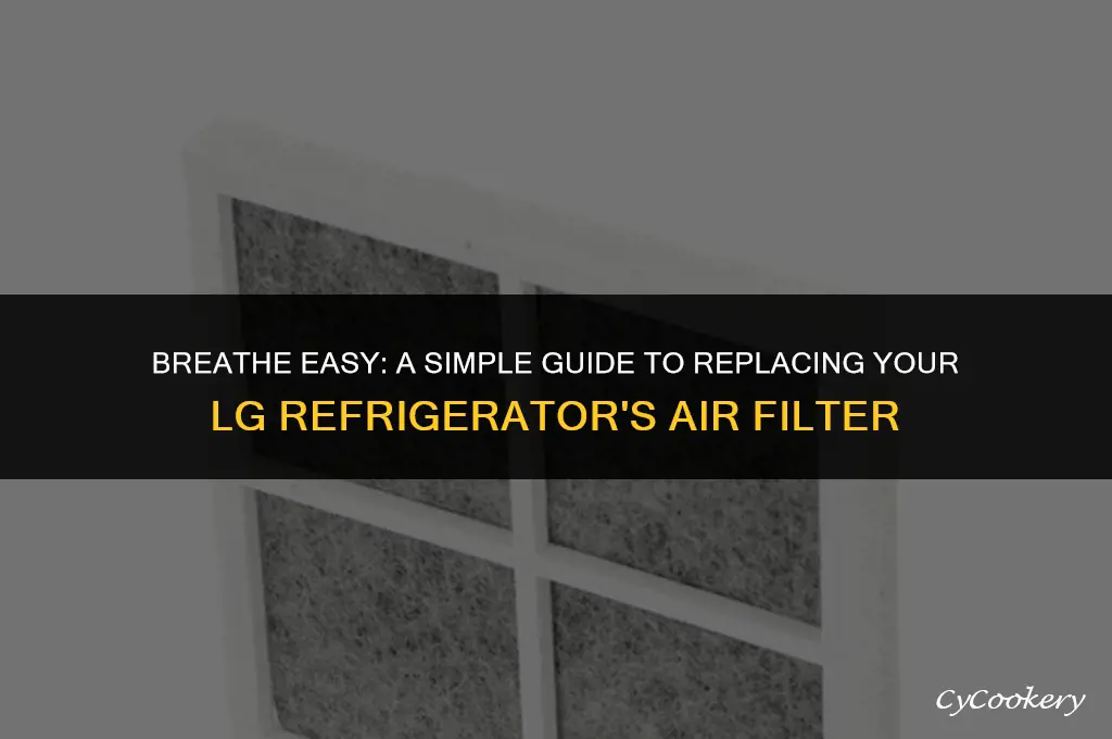 how to replace fresh air filter in lg refrigerator