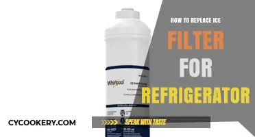 Easy Steps to Replace Your Refrigerator's Ice Filter Like a Pro