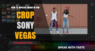 Replacing Images in Pan Crop with Sony Vegas