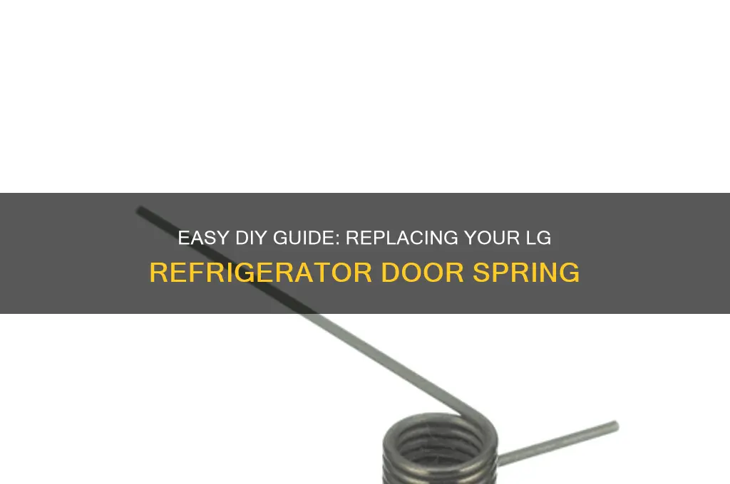 how to replace lg refrigerator door spring