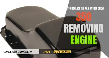 Replacing Oil Pan Gasket: Chevy 350 Engine Removal Guide