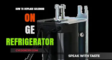 Easy Guide to Replacing a GE Refrigerator Solenoid Valve