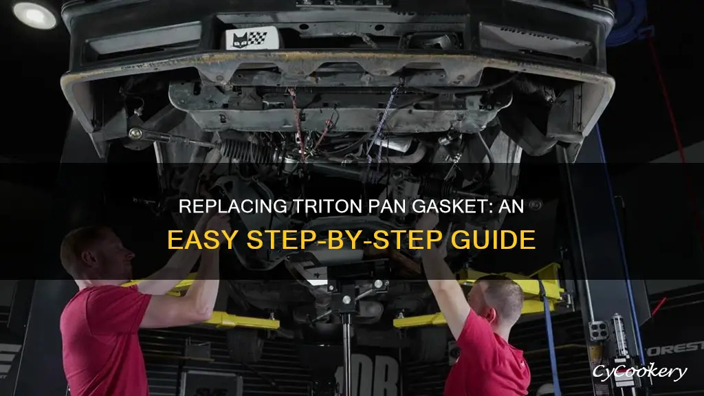 how to replace triton pan gasket