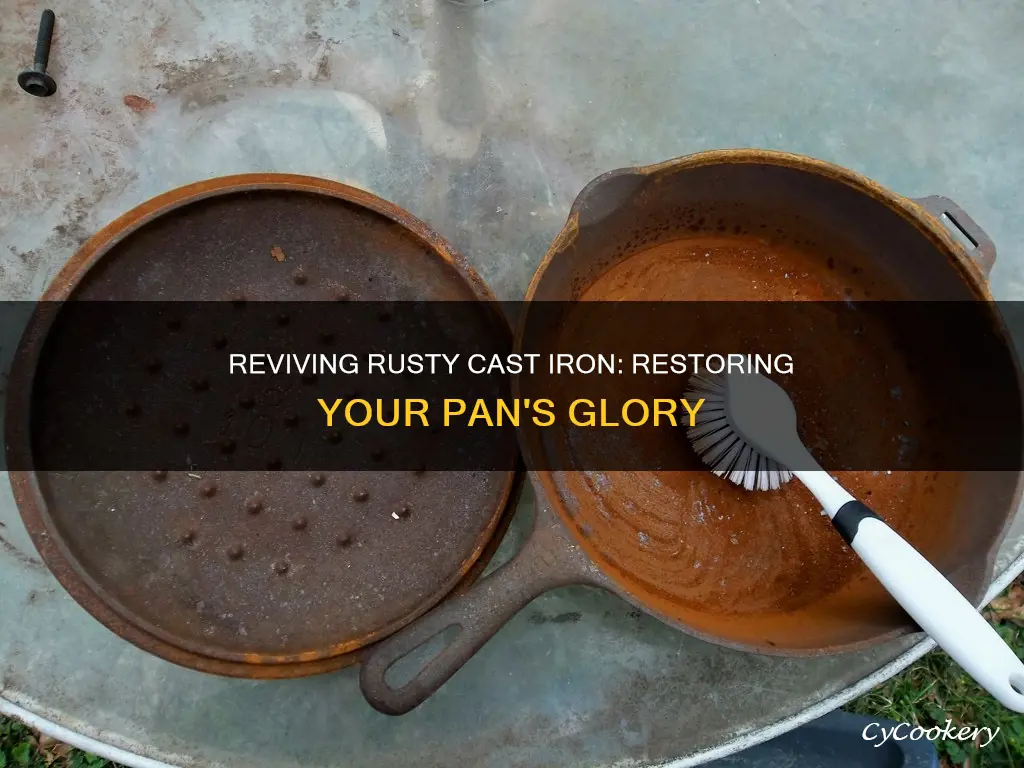 how to rescue a cast iron pan