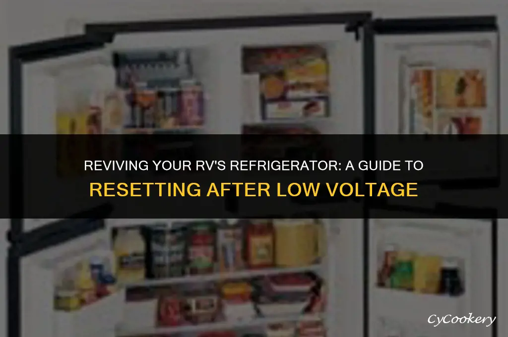 how to resent refrigerator in motorhome after low voltage