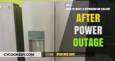 Reviving Your Refrigerator Gallery: Post-Power Outage Reset Guide