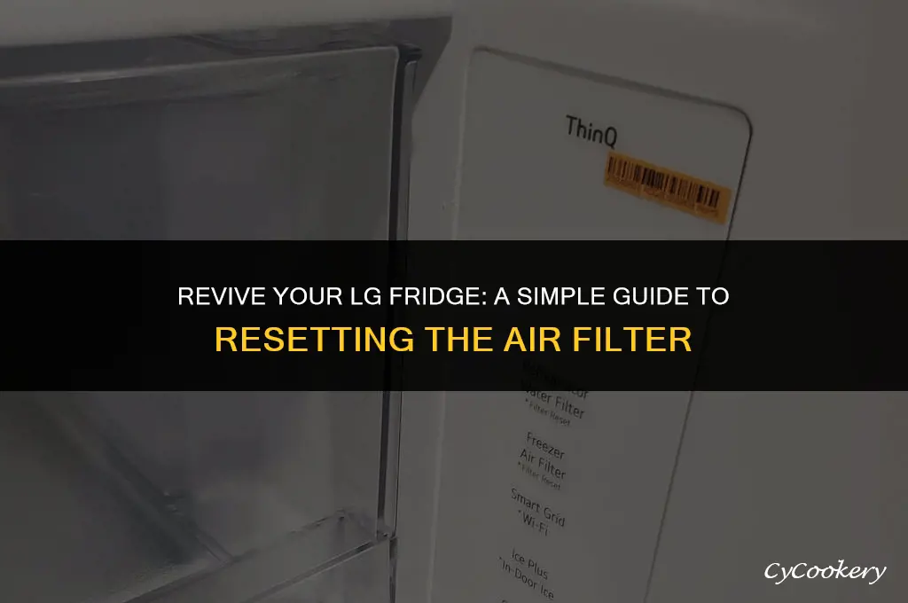 how to reset air filter in lg refrigerator