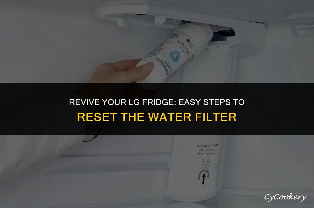 how to reset change watr filter on lg refrigerator