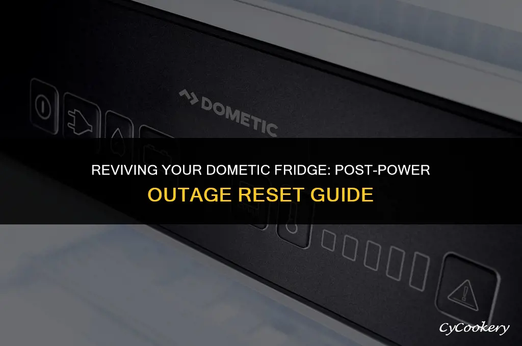 how to reset dometic refrigerator after power outage