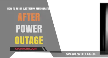 Reviving Your Electrolux Fridge: Post-Power Outage Reset Guide