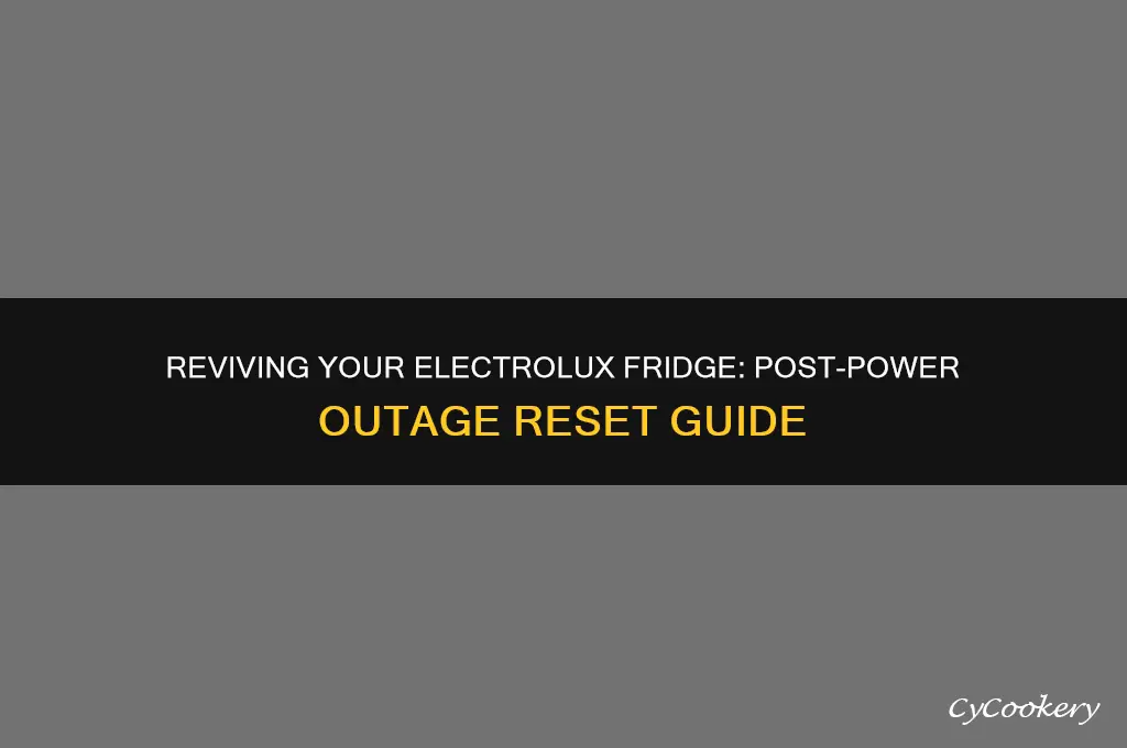 how to reset electrolux refrigerator after power outage