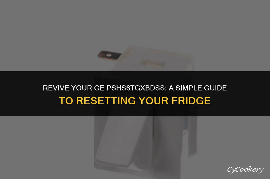 how to reset ge refrigerator model no pshs6tgxbdss