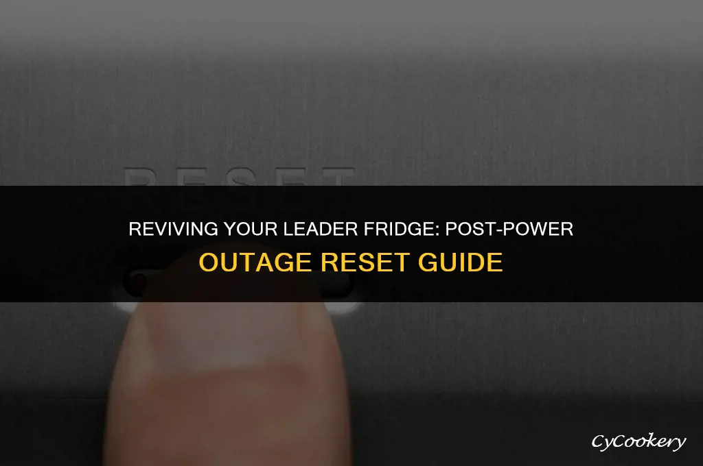 how to reset leader refrigerator after power outage