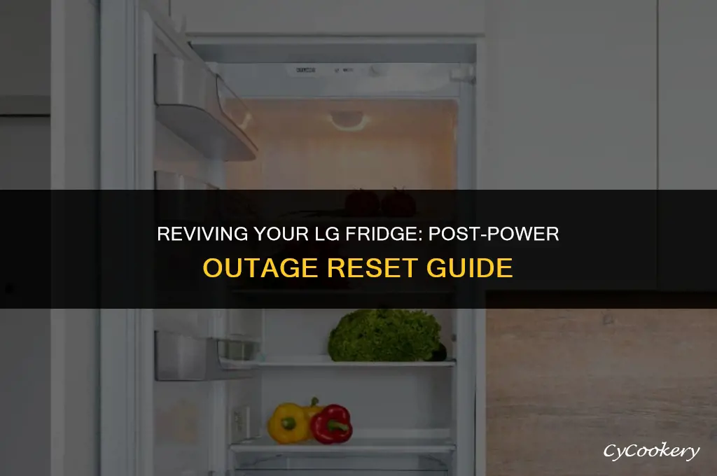 how to reset lg refrigerator after power outage