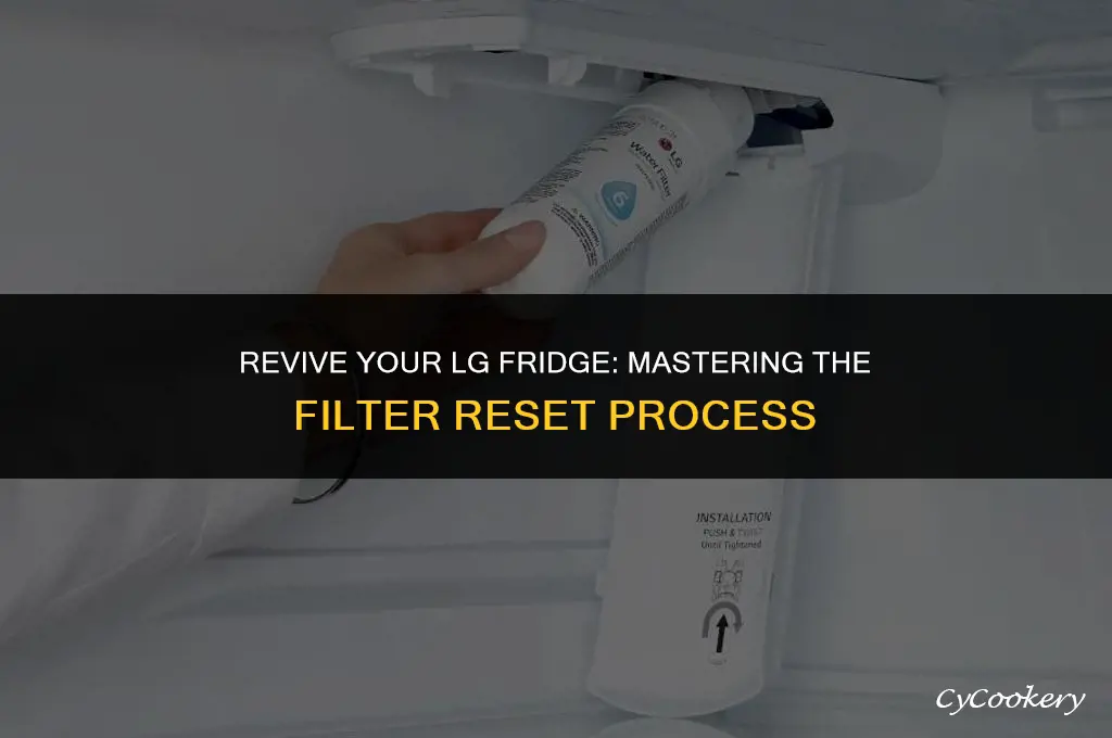 how to reset my lg refrigerator filter time