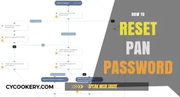 Resetting Your PAN Password: A Simple Guide