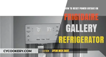 Reviving Your Frigidaire Gallery Fridge After a Power Outage