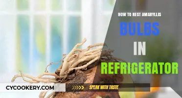 Resting Amaryllis Bulbs in the Fridge: A Simple Guide
