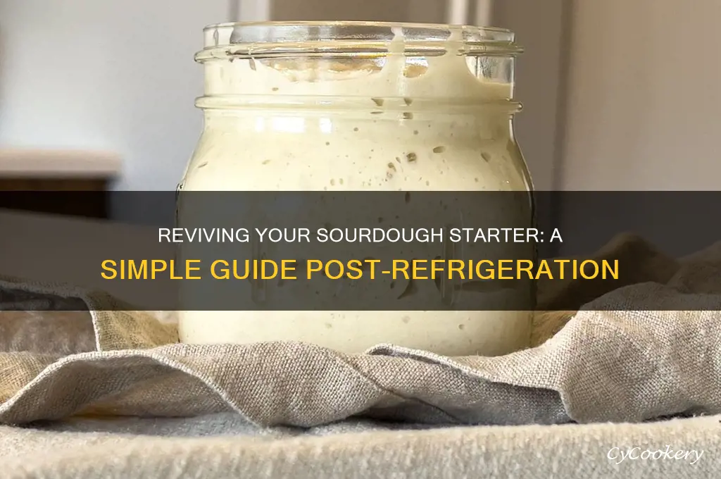 how to restart sourdough starter after refrigeration