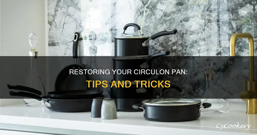 how to restore a circulon pan