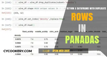 Finding and Returning Duplicate Rows in Pandas Dataframes