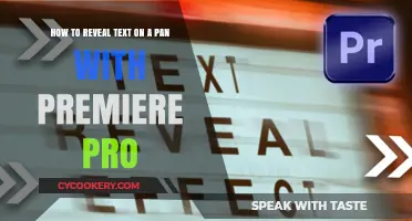 Unveiling Text: Premiere Pro's Pan Tool