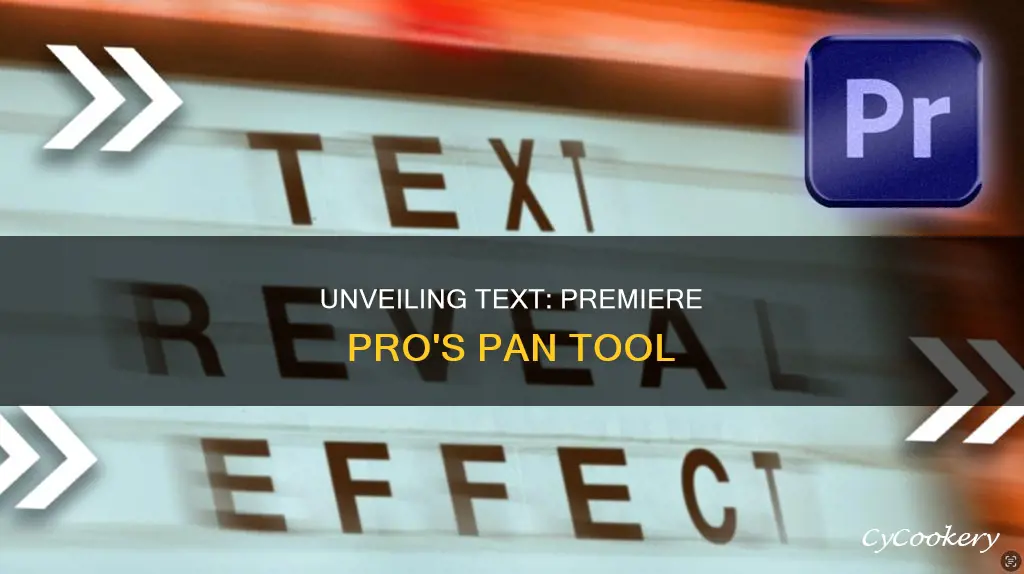 how to reveal text on a pan with premiere pro