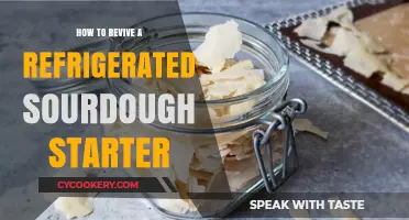 Reviving Refrigerated Sourdough Starter: Simple Steps for Active Fermentation
